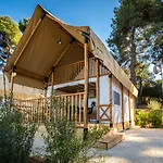 Arena Stoja Homes Holiday park