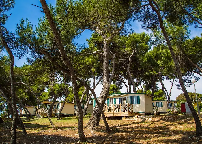 Arena Stoja Homes База отдыха