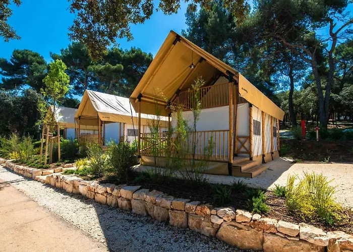 Arena Stoja Homes