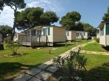 Arena Stoja Homes