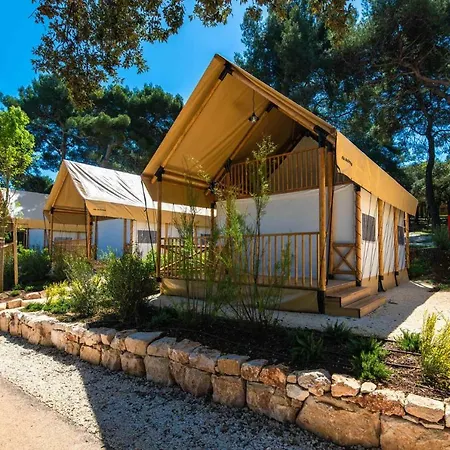 Arena Stoja Homes