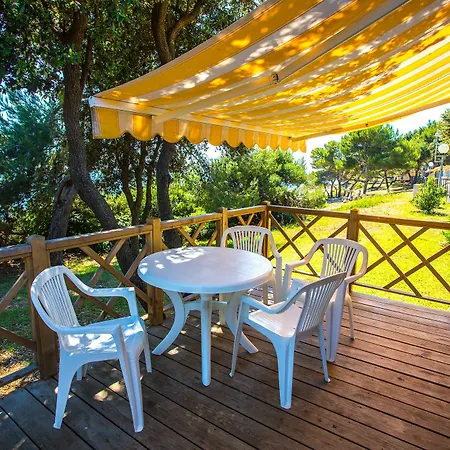 Arena Stoja Homes Tatil parkı